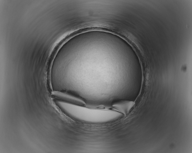 X0000116681024200912291715