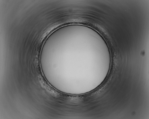 X0000116681025200912291715