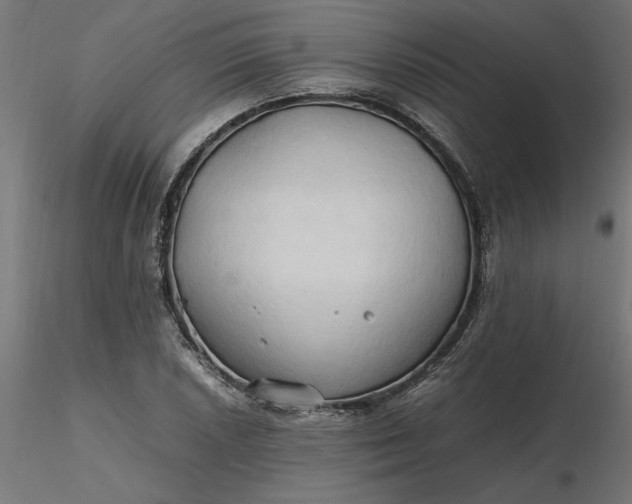 X0000116681026200912291715