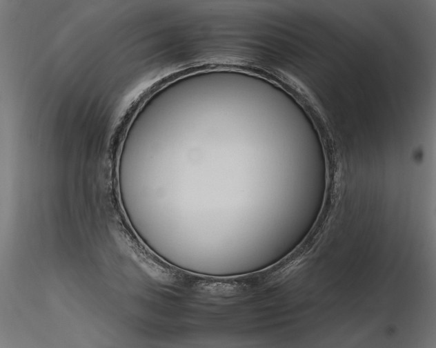 X0000116681027200912291715