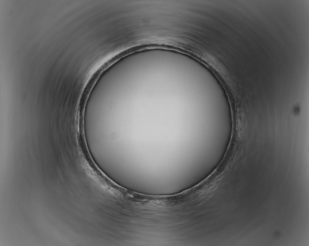 X0000116681028200912291715