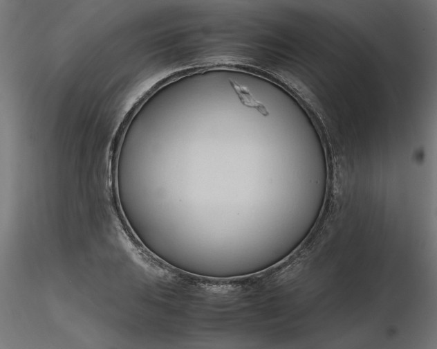 X0000116681031200912291715