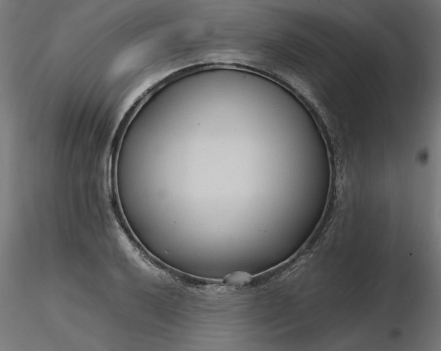 X0000116681032200912291715