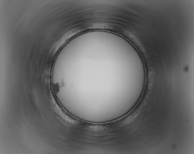 X0000116681033200912291715