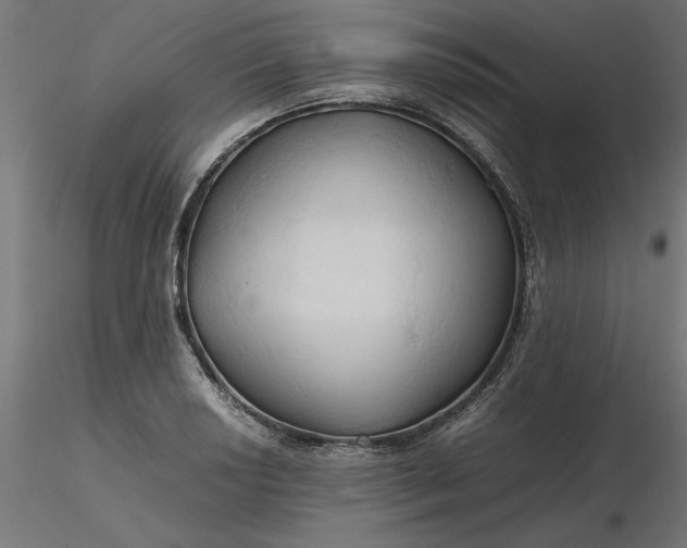 X0000116681034200912291715