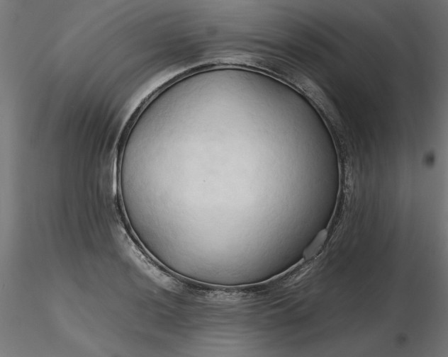 X0000116681036200912291715