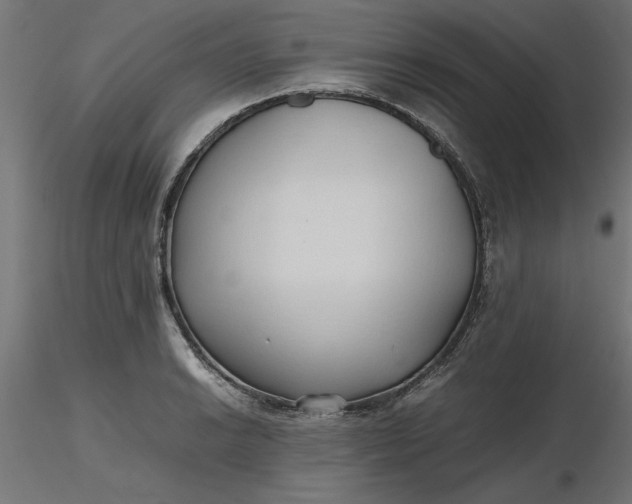 X0000116681038200912291715