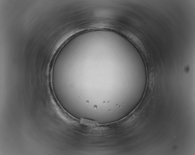 X0000116681039200912291715