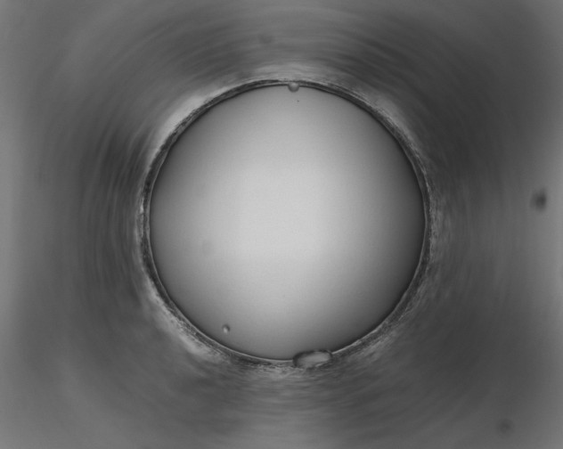 X0000116681040200912291715