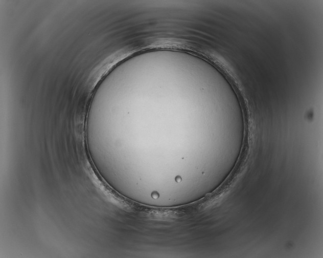 X0000116681041200912291715