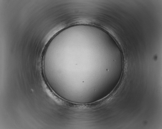 X0000116681042200912291715