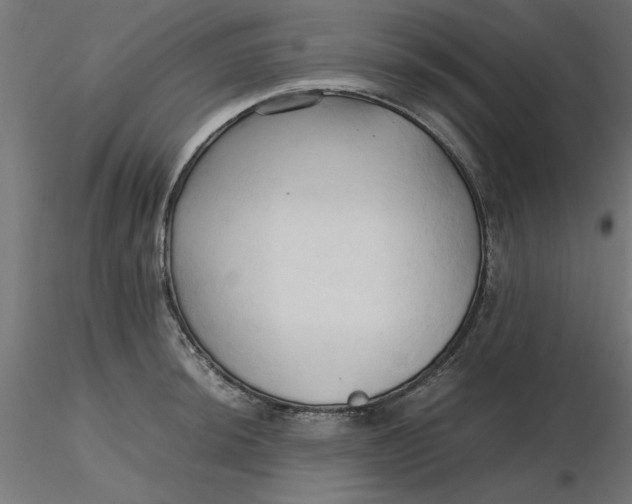 X0000116681044200912291715