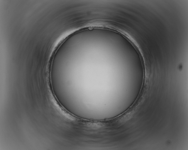 X0000116681045200912291715