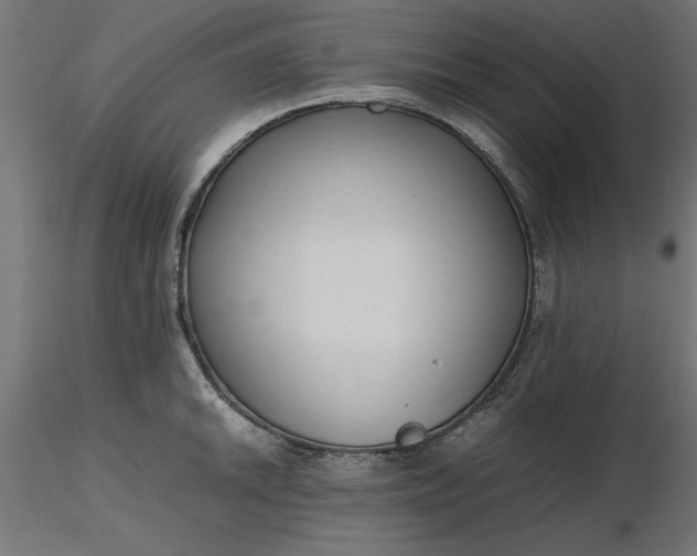 X0000116681046200912291715