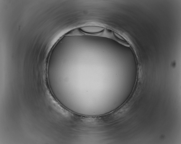 X0000116681048200912291715