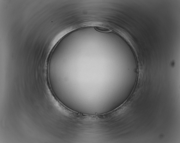 X0000116681050200912291715