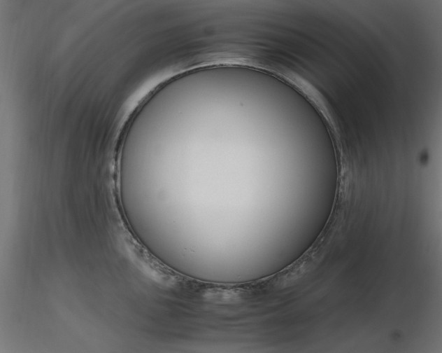 X0000116681051200912291715