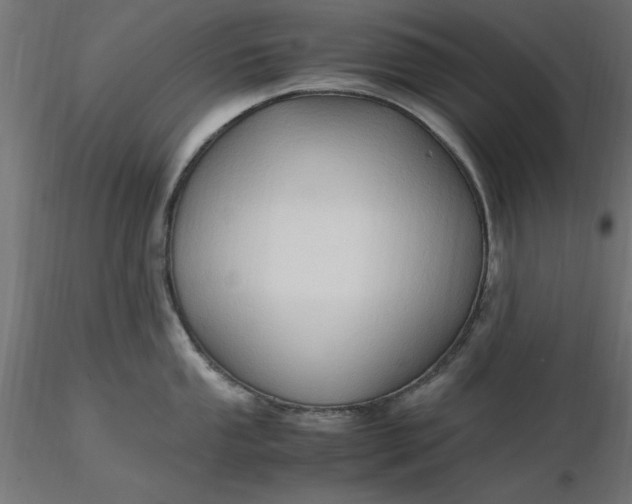 X0000116681053200912291715