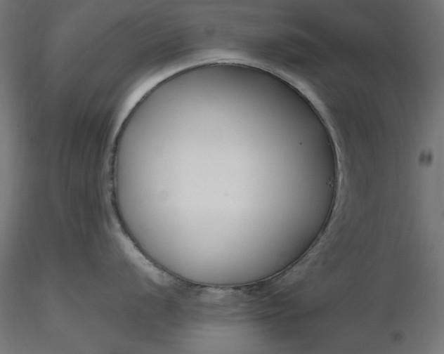 X0000116681056200912291715