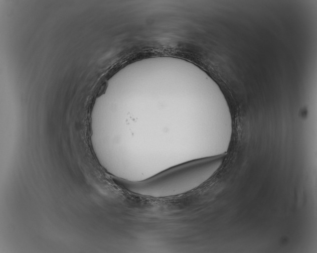 X0000116681057200912291715