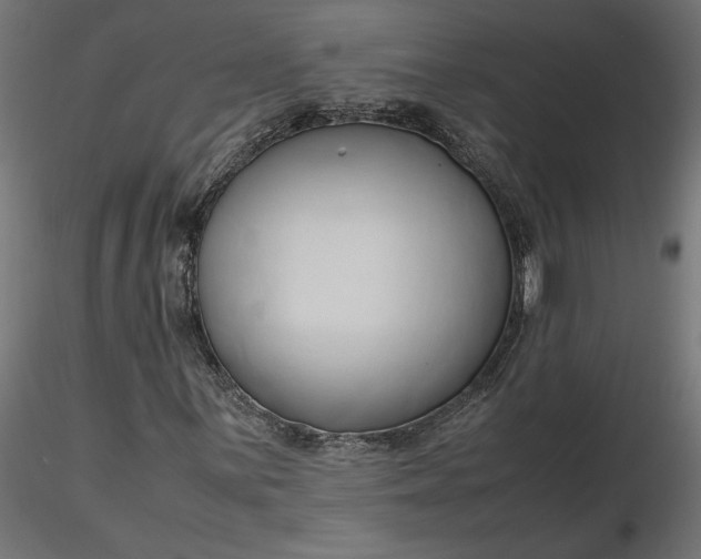 X0000116681059200912291715