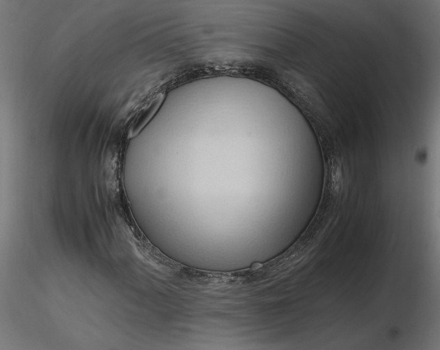 X0000116681060200912291715