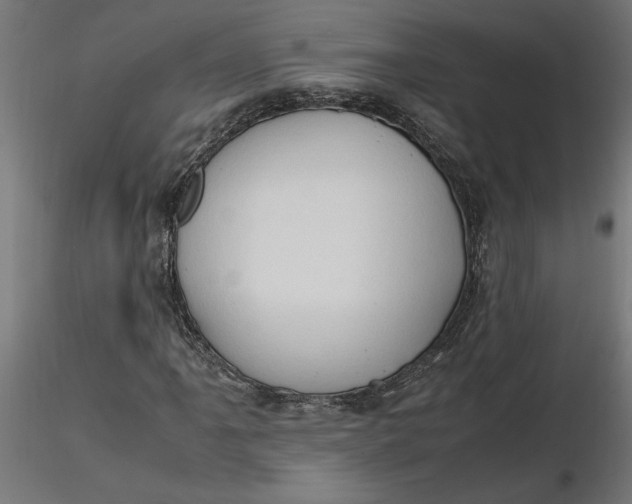 X0000116681061200912291715