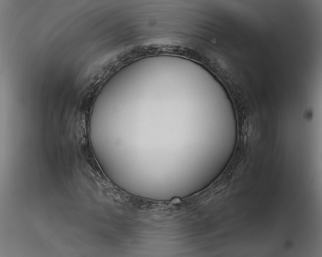 X0000116681062200912291715