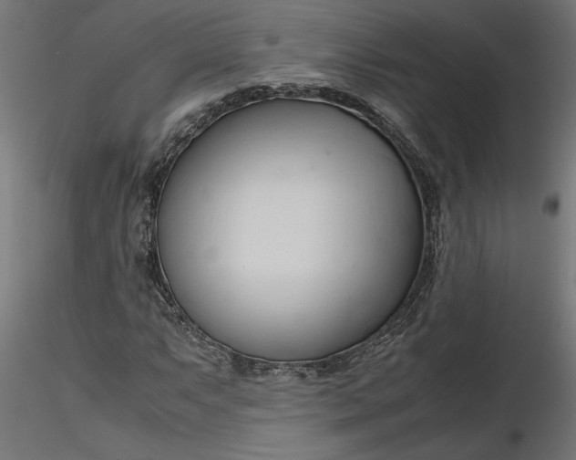 X0000116681063200912291715