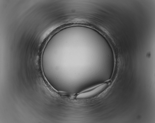 X0000116681066200912291714