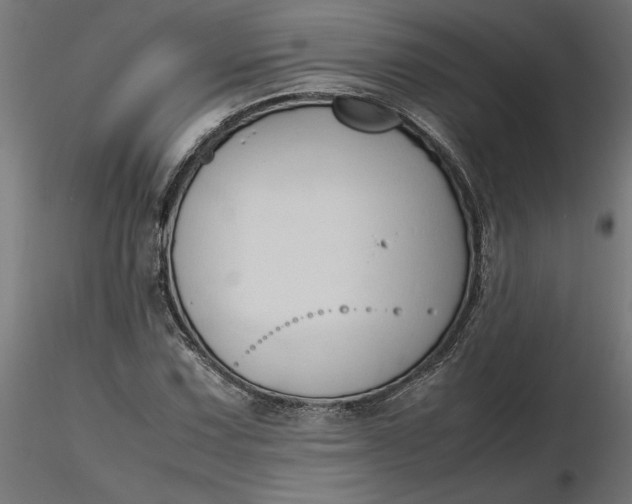 X0000116681067200912291714