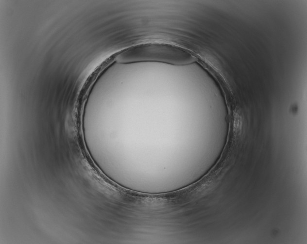 X0000116681068200912291714