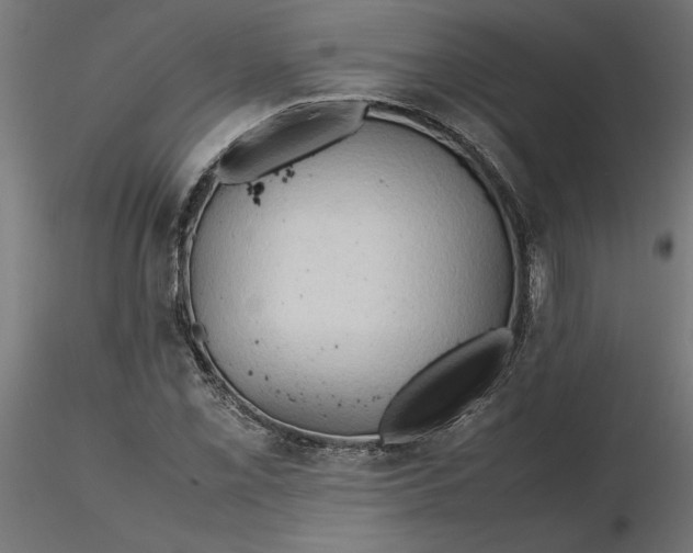 X0000116681069200912291714