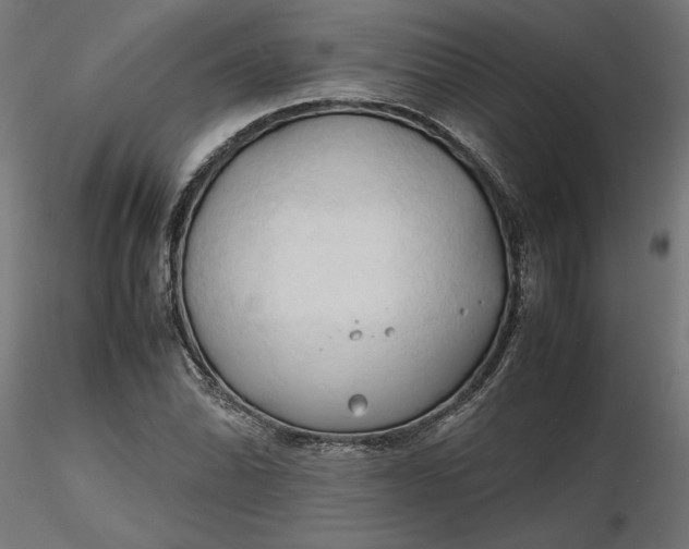 X0000116681070200912291714