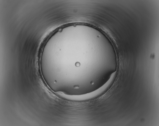 X0000116681072200912291714