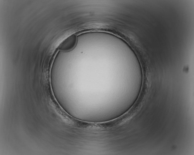 X0000116681073200912291714