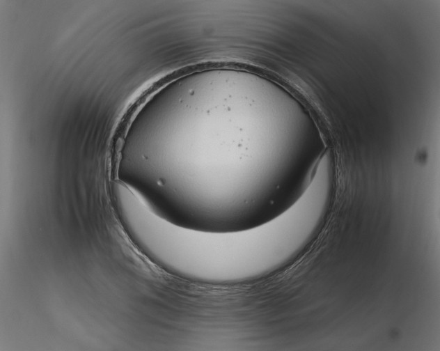 X0000116681076200912291714