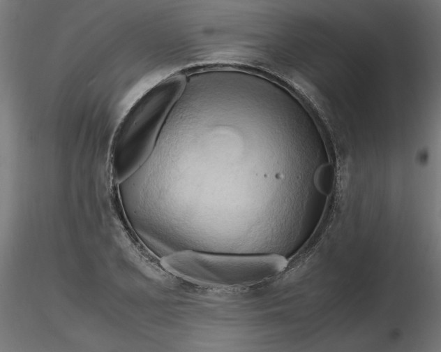 X0000116681077200912291714