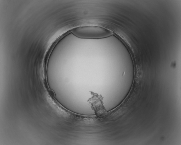 X0000116681080200912291714