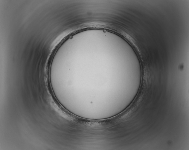 X0000116681082200912291714