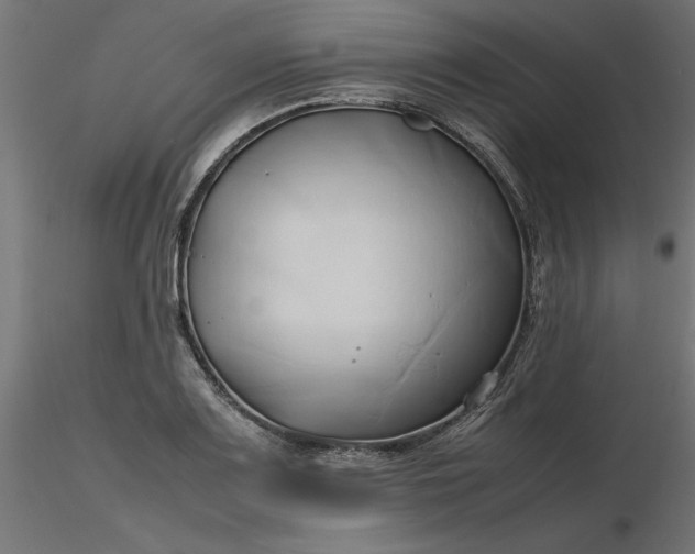 X0000116681083200912291714