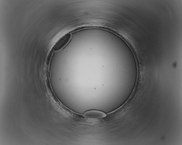 X0000116681085200912291714