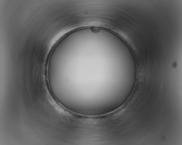 X0000116681086200912291714