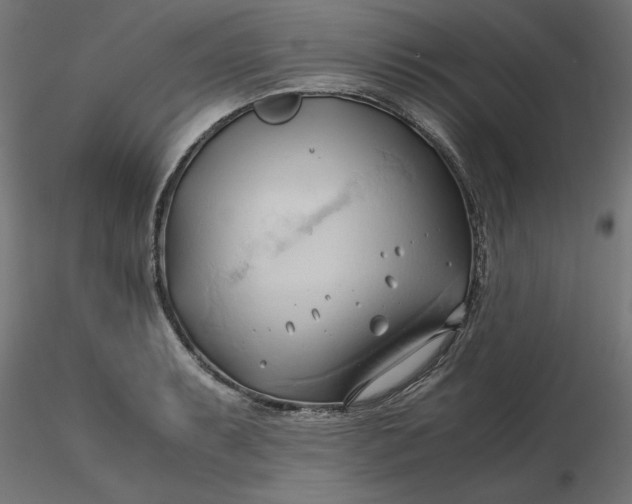 X0000116681087200912291714