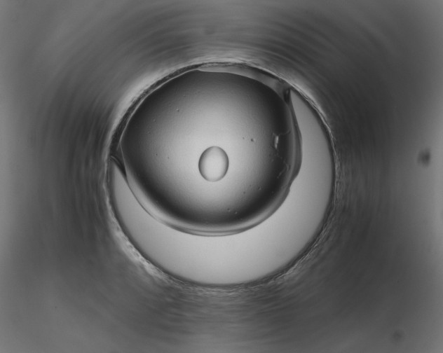 X0000116681088200912291714