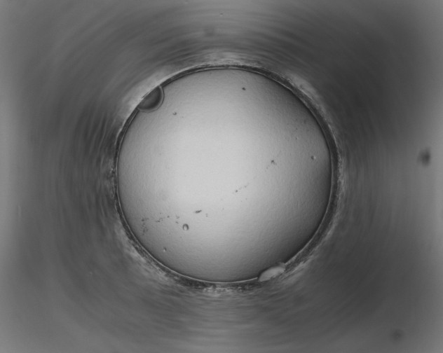 X0000116681089200912291714