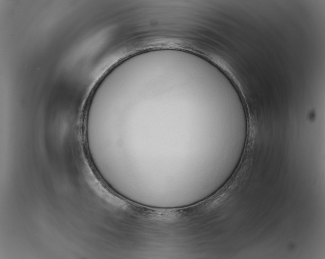 X0000116681090200912291714