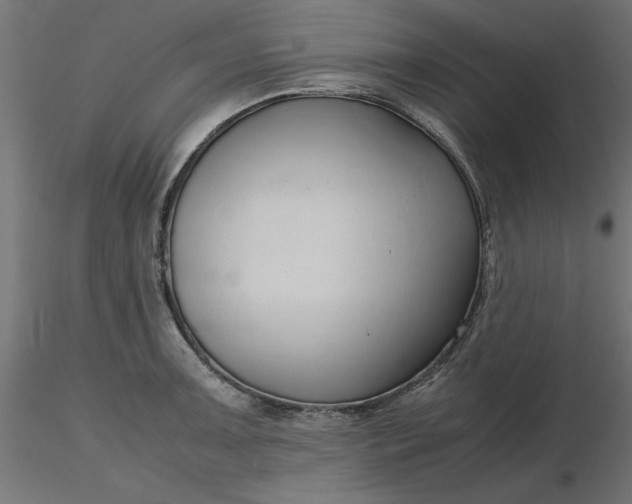 X0000116681091200912291714