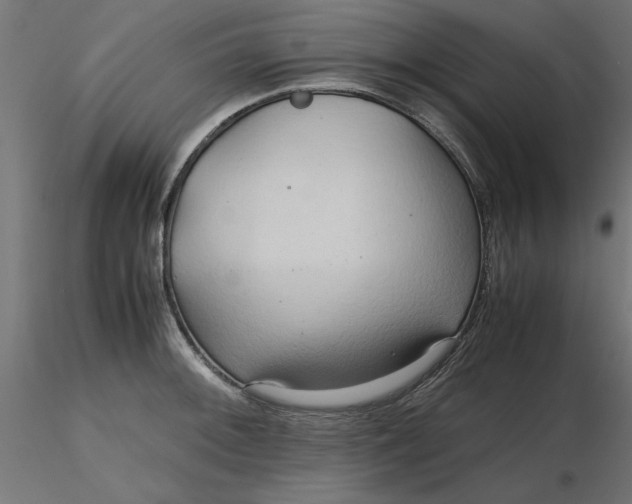 X0000116681092200912291714