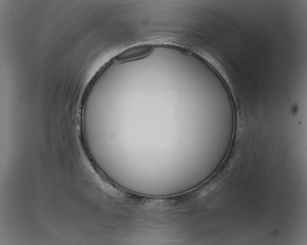 X0000116681093200912291714